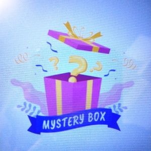 💰Reseller's Mystery Box Women's Shirts & Pants